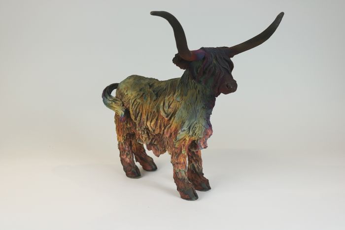 Highland Cows